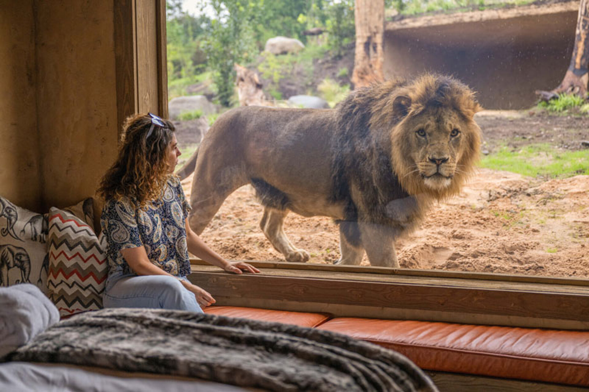 West Midlands Safari Park Lodges