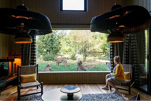 Planète Sauvage Accommodation